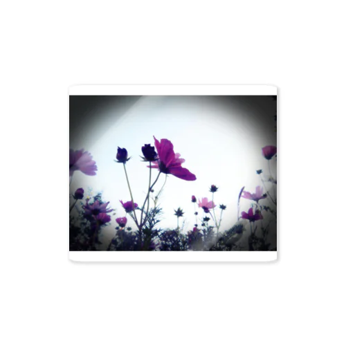 #002 / Flower Sticker