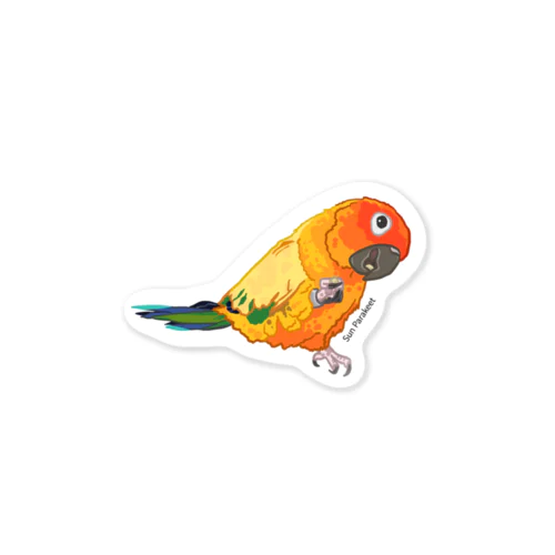 クルミを食べるコガネメキシコインコ。 Sticker