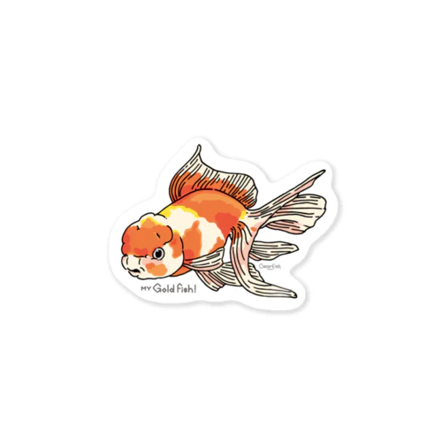 gold fish 金魚 桜東錦 アメリカン君 Sticker