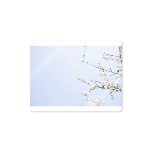 空と桜 Sticker