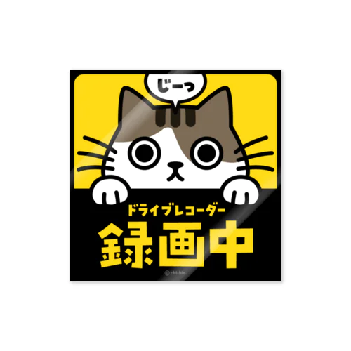 じーっとみる猫・ドライブレコーダー録画中！（キジシロ） ステッカー