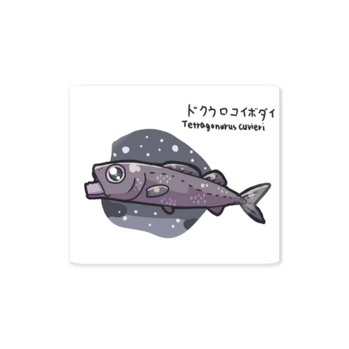 ドクウロコイボダイ Sticker