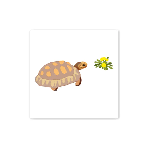 タンポポを見つけたカメ　Tortoise Finds the Dandelions Sticker