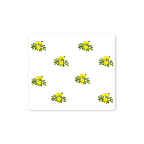 タンポポ　Dandelions Sticker