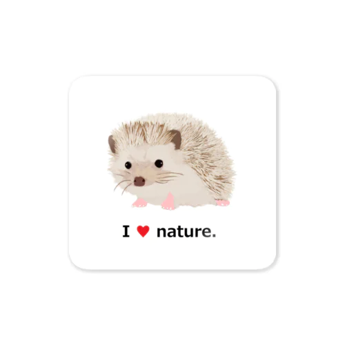 ハリネズミ　Hedge Hog Sticker