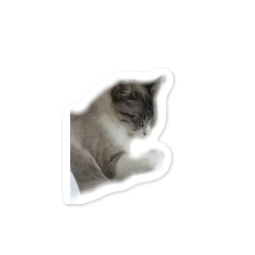 Sully the cat Sticker