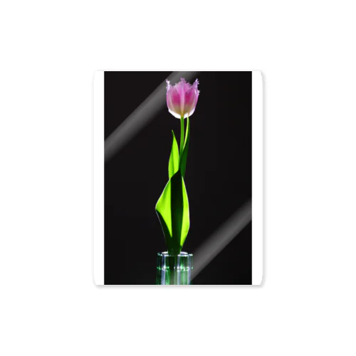 Tulip Design Sticker Sticker