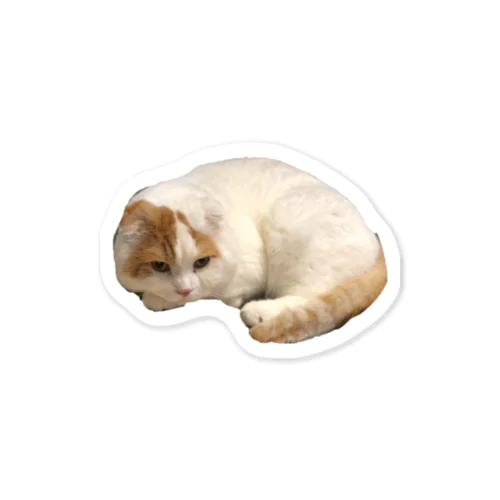 猫は丸くなる　雑貨 Sticker