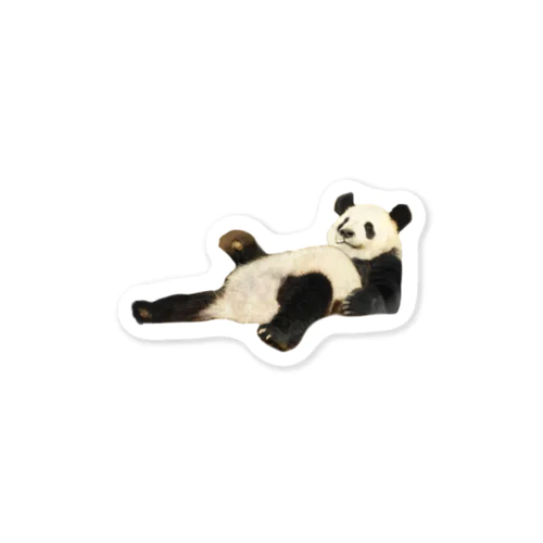 パンダが寝そべっている Sticker