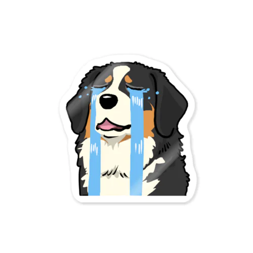 バーニーズマウンテンドッグ/Bernese Mountain Dog 13/40 ステッカー