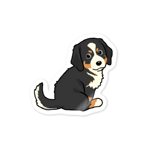 バーニーズマウンテンドッグ/Bernese Mountain Dog 17/40 Sticker