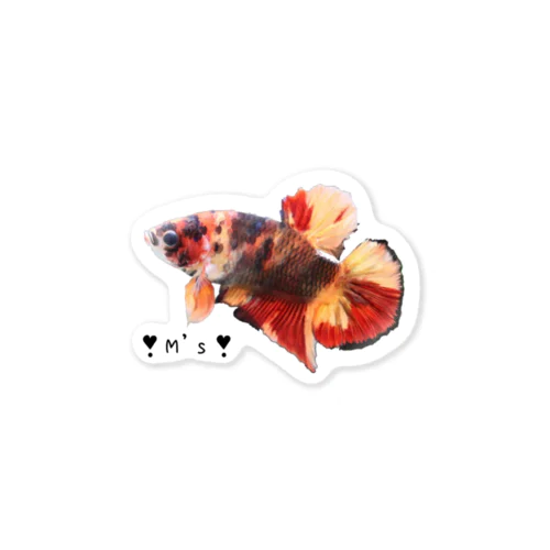 サラマンダー🐠鯉ベタ　ステッカー Sticker