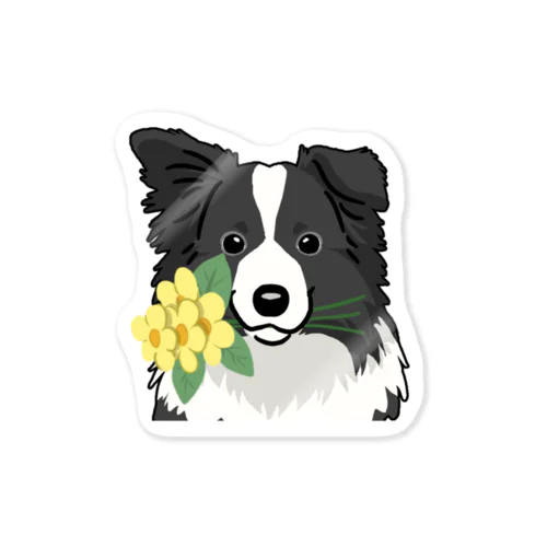  ボーダー・コリー/Border Collie 19/40 Sticker