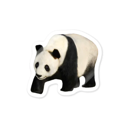パンダの背中に乗りたい… Sticker