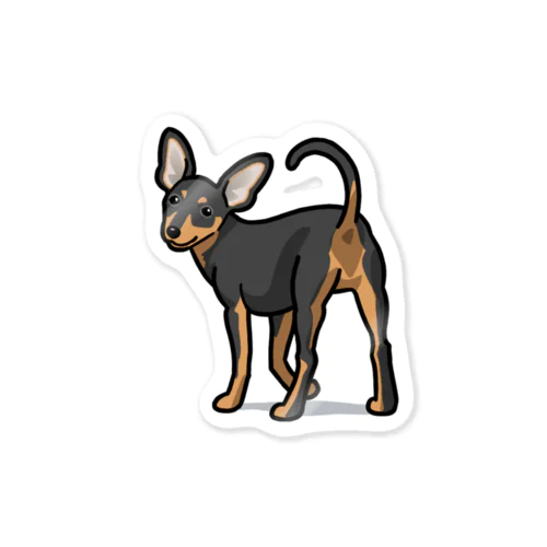 ミニチュア・ピンシャー/Miniature Pinscher 34/40 Sticker