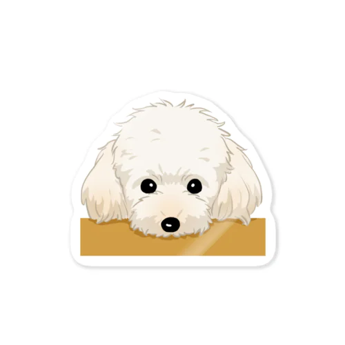 トイ・プードル(クリーム)/Toy Poodle(Cream) 18/40 Sticker