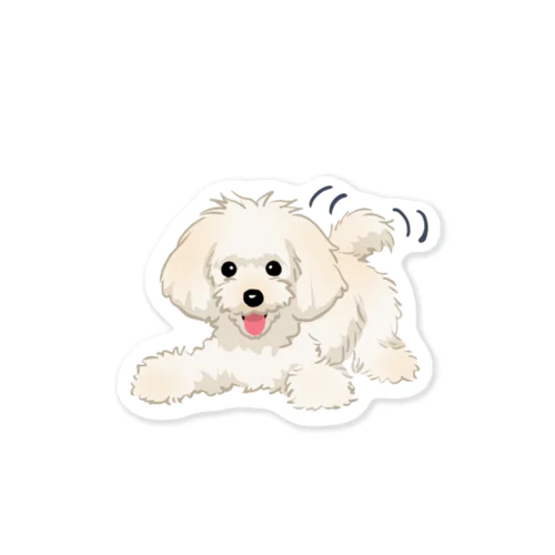 トイ・プードル(クリーム)/Toy Poodle(Cream) 30/40 Sticker
