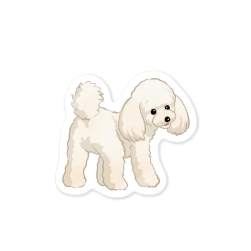 トイ・プードル(クリーム)/Toy Poodle(Cream) 35/40 ステッカー