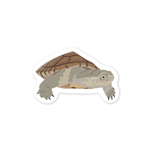 幼き日のヤエヤマイシガメさん Sticker