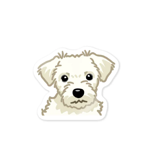 ジャック・ラッセル・テリア (ラフ/ホワイト)/Jack Russell Terrier(rough/white) 02/40 ステッカー