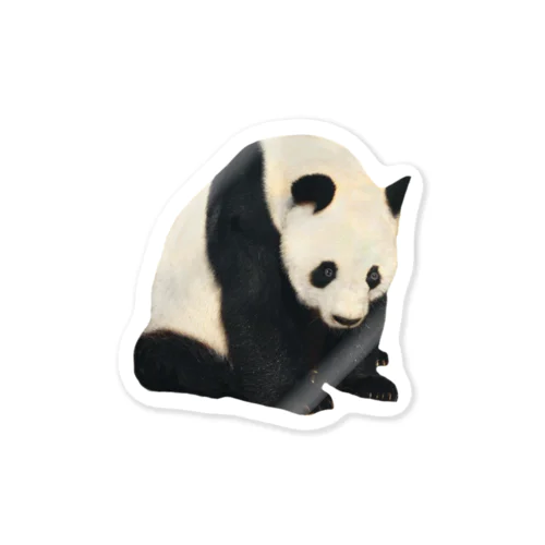 パンダがこっちをみている Sticker