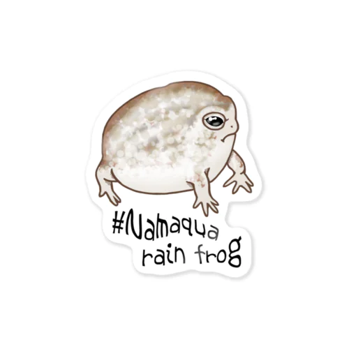 Namaqua rain frog(なまかふくらがえる) 英語バージョン ステッカー