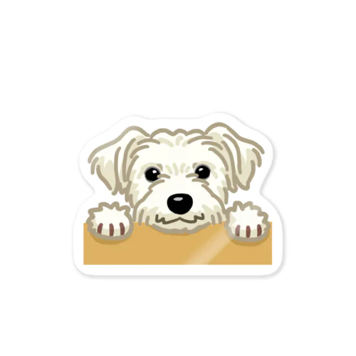 ジャック・ラッセル・テリア (ラフ/ホワイト)/Jack Russell Terrier(rough/white) 18/40 Sticker