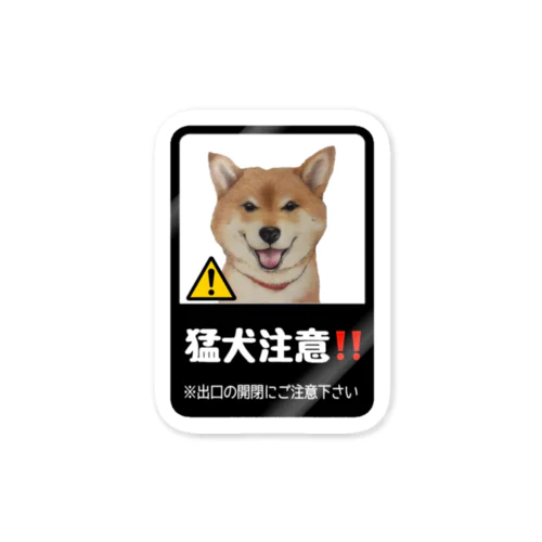 柴犬　猛犬注意ステッカー Sticker