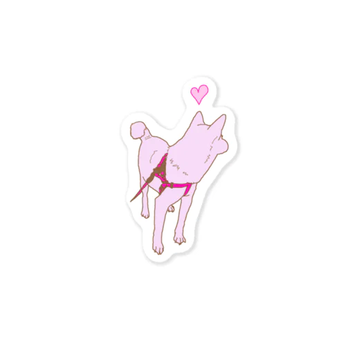 みつめる柴犬 Sticker