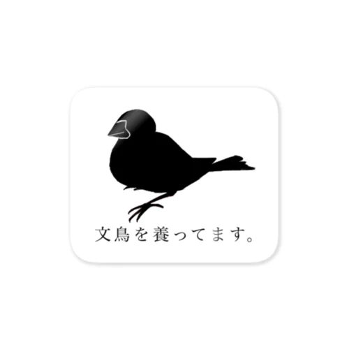 文鳥を養ってます。 ステッカー