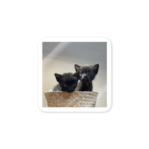 くろねこ兄弟バスとスメ Sticker