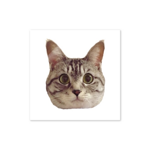 サバトラのもも Sticker