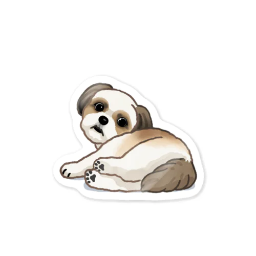 シー・ズー ( Shih Tzu ) 31/40 Sticker