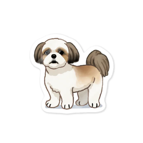 シー・ズー ( Shih Tzu ) 33/40 Sticker