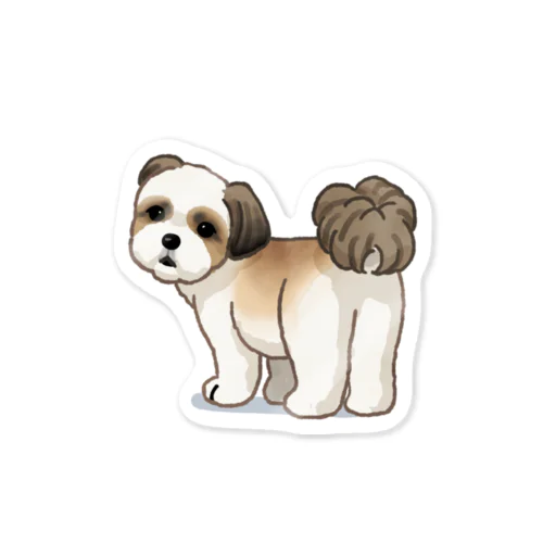 シー・ズー ( Shih Tzu ) 34/40 Sticker