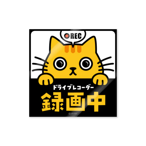 じーっとみる猫 [REC]・ドライブレコーダー録画中！（茶トラ） ステッカー