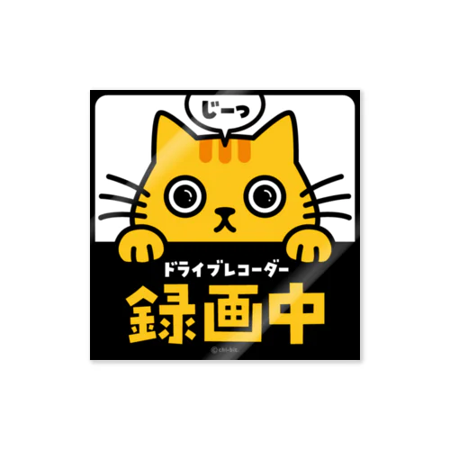 じーっとみる猫・ドライブレコーダー録画中！（茶トラ） ステッカー