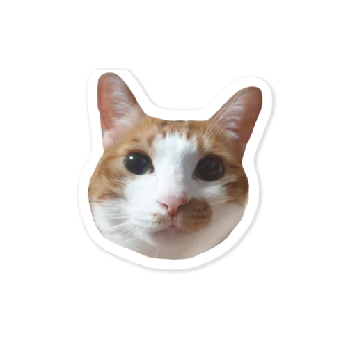 顔が天才（コマ） Sticker