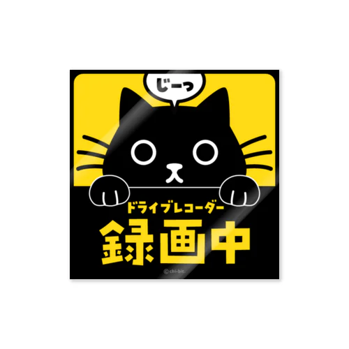 じーっとみる猫・ドライブレコーダー録画中！（黒猫） 스티커