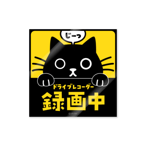 じーっとみる猫・ドライブレコーダー録画中！（黒猫） Sticker