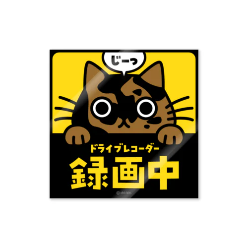 じーっとみる猫・ドライブレコーダー録画中！（サビ） ステッカー