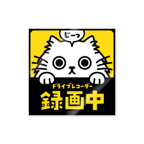 じーっとみる猫・ドライブレコーダー録画中！（白猫・長毛） 스티커