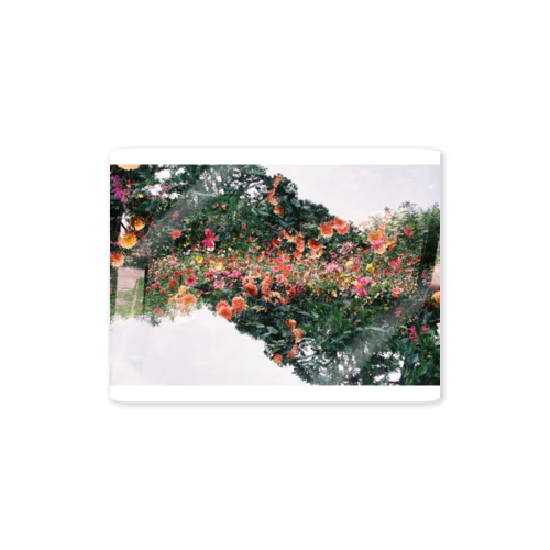 多重露光写真 花 Sticker