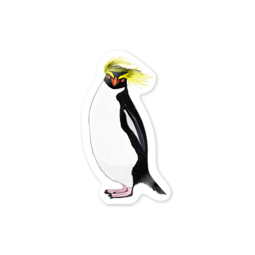 　風に吹かれるイワトビペンギンさん(文字無しバージョン Sticker