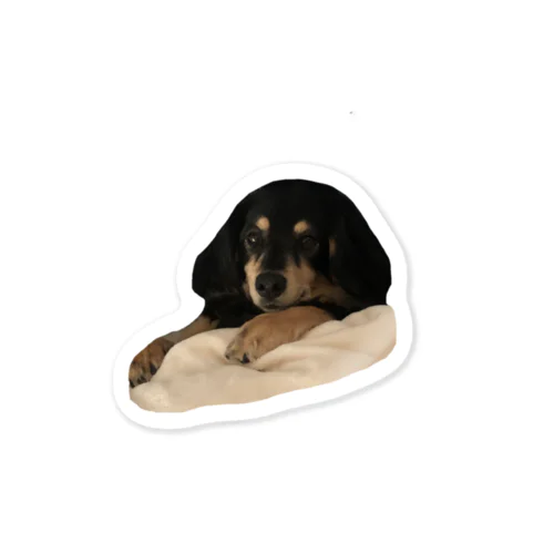 城戸んちの犬 Sticker