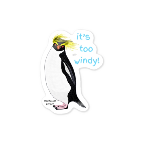 Rockhopper penguin　(イワトビペンギン) Sticker