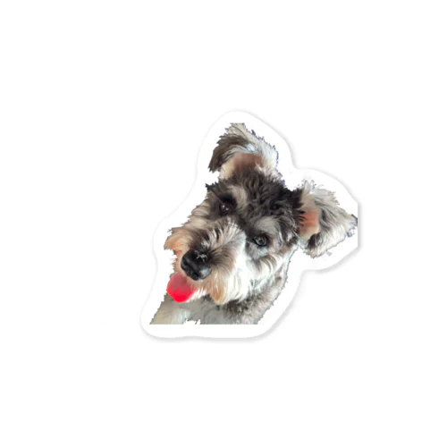 うちの犬 Sticker