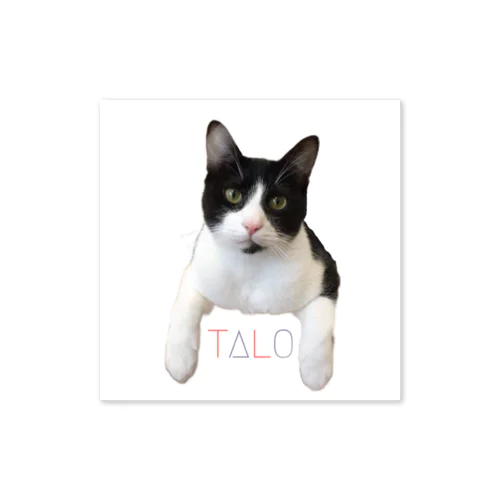 TALO Sticker