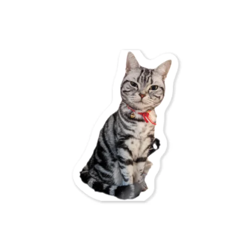 猫のトォーラ Sticker