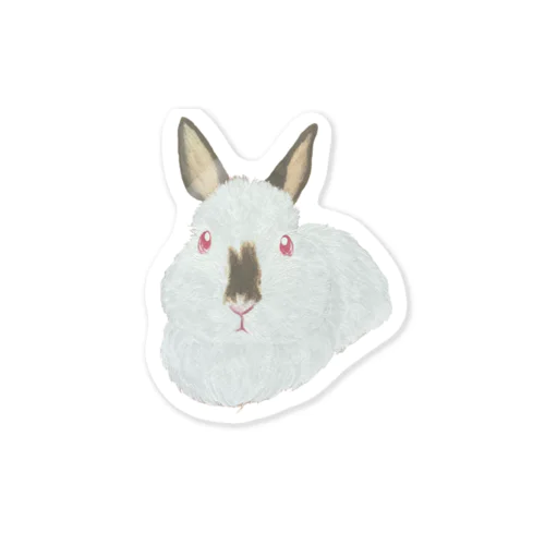 うさぎさん🐰ヒマラヤン Sticker